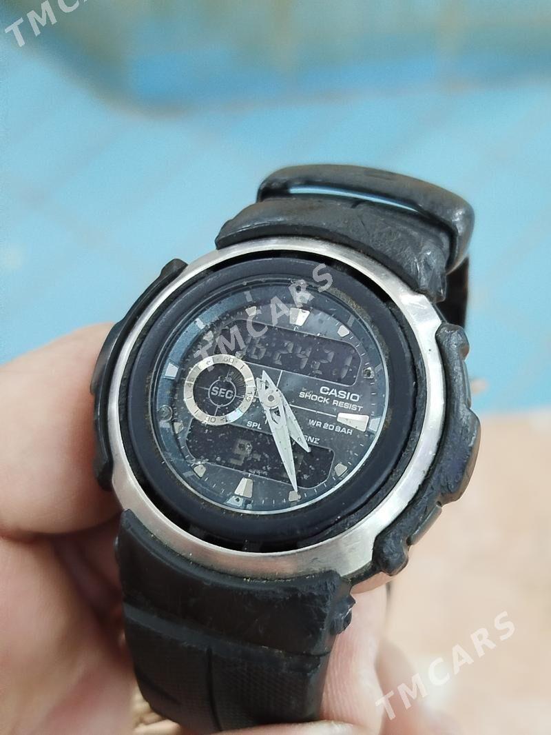CASIO - Mary - img 3