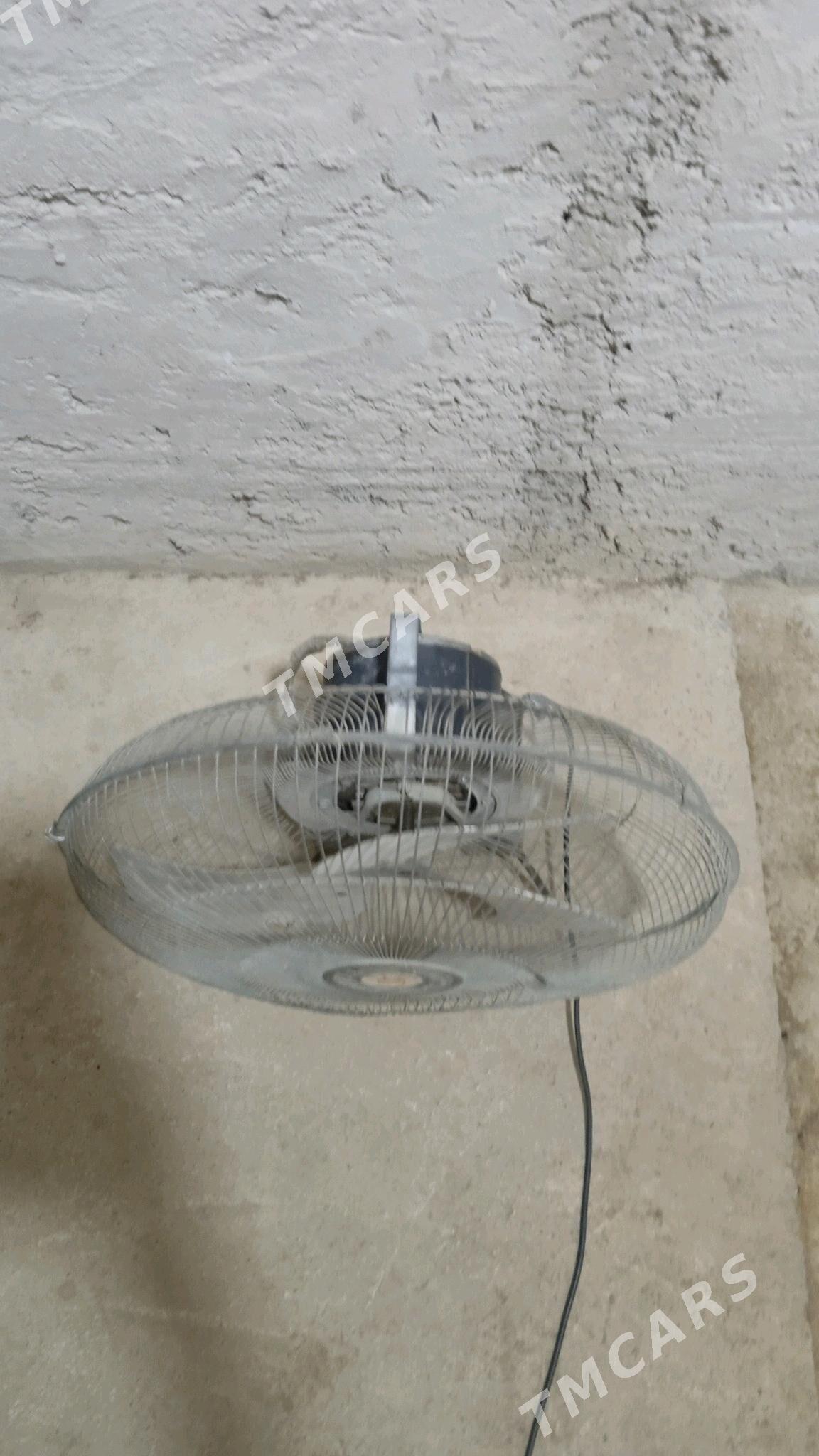 webtilyator - Gyzylarbat - img 2