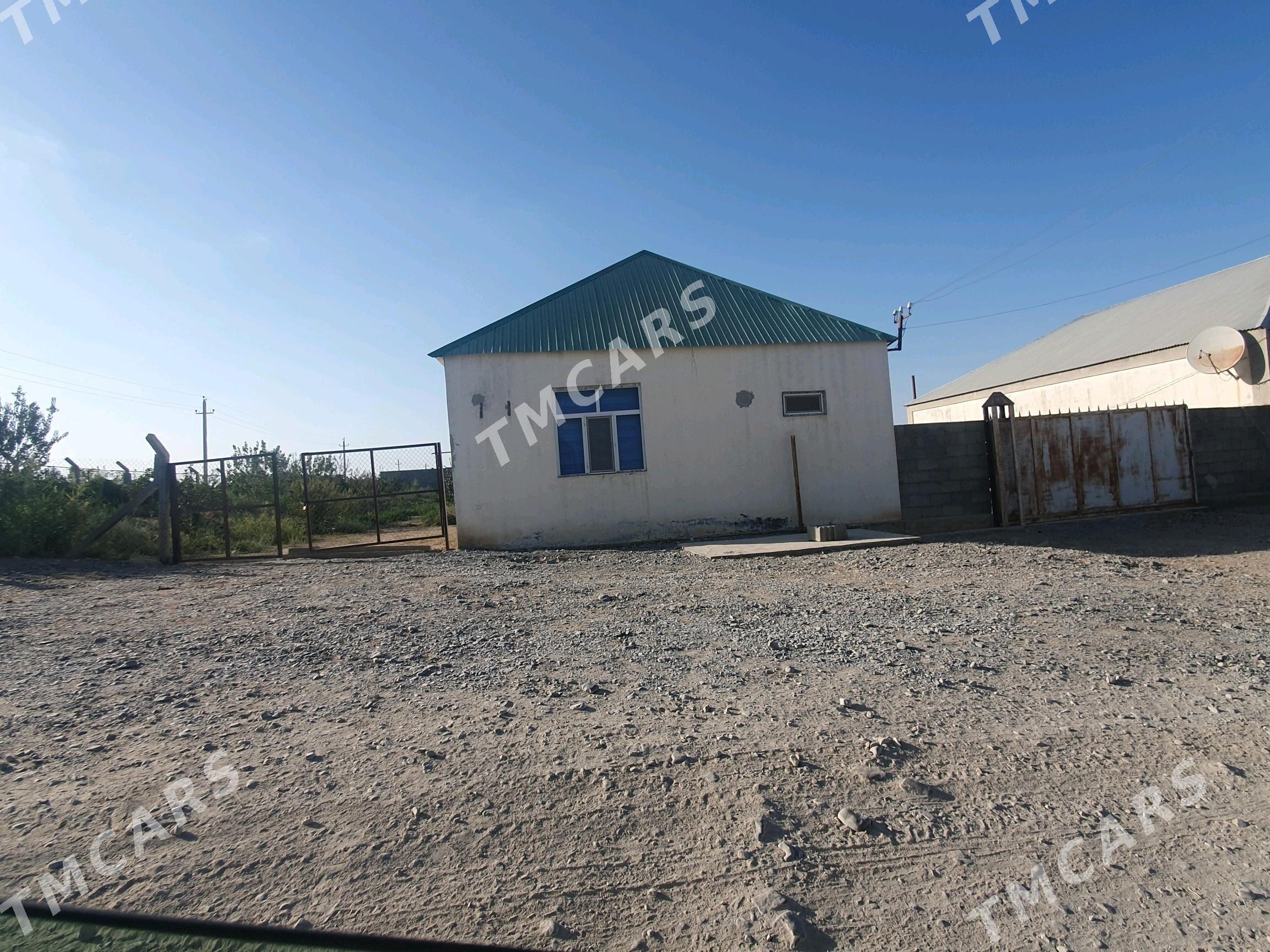 Satlyk howly jay - Gökdepe - img 7