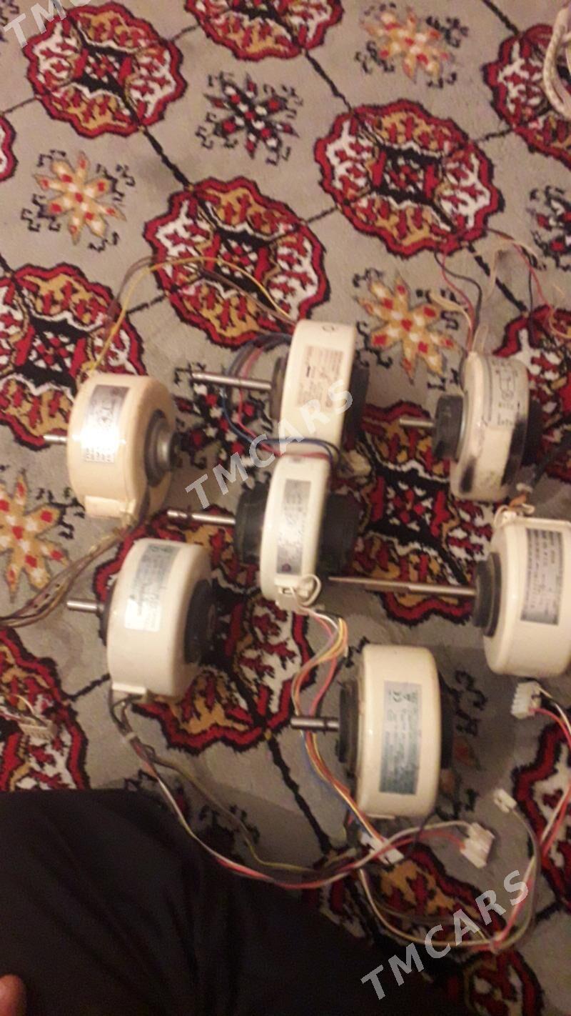 kansaner  mayorçyk - Aşgabat - img 2
