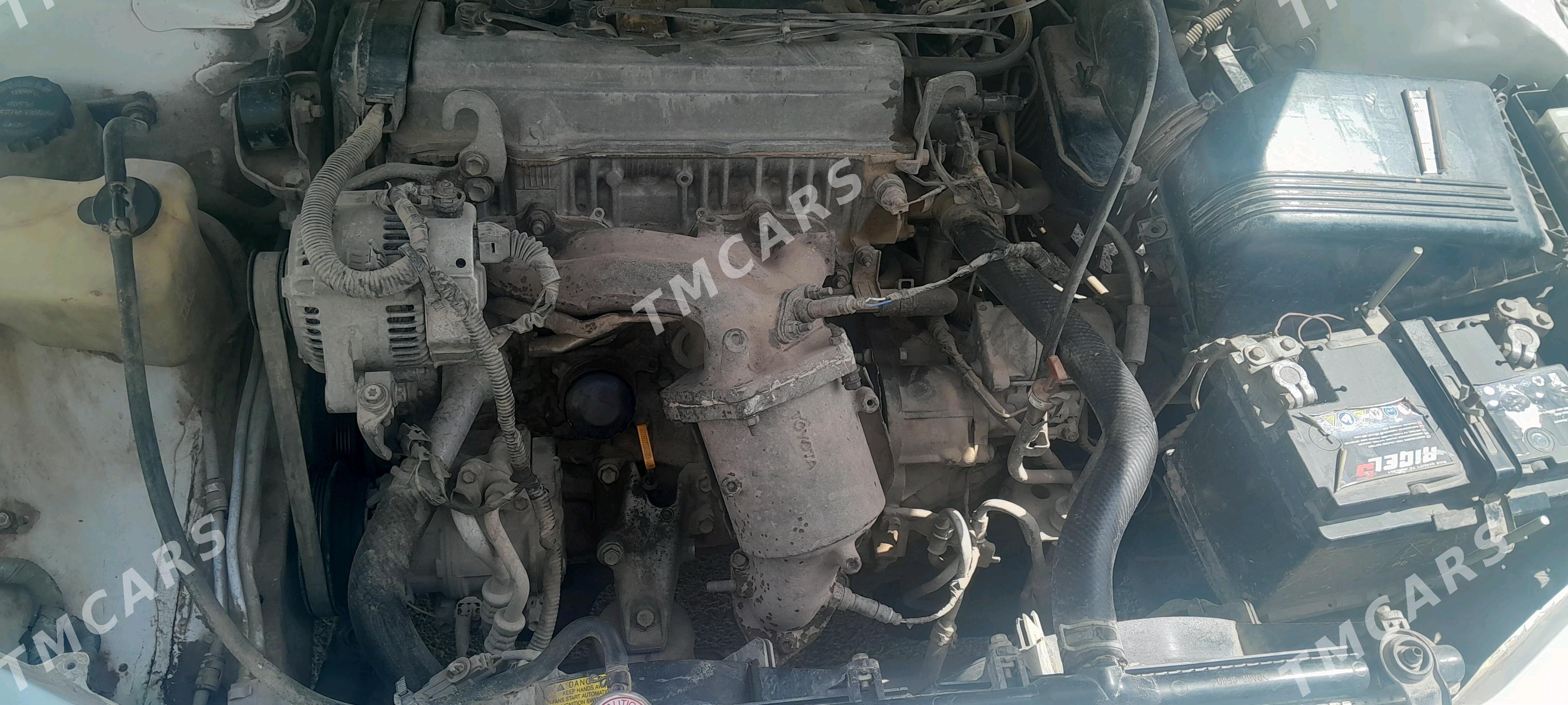 Toyota Camry 1996 - 66 000 TMT - Mary - img 4