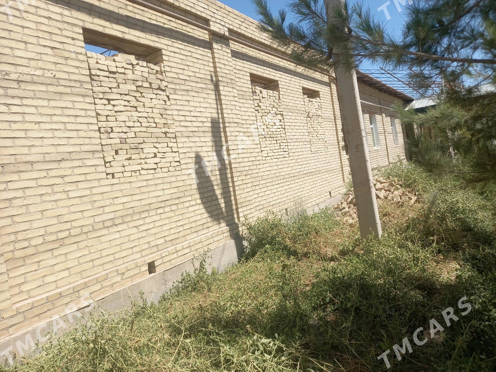 gyssagly gyssagly satlyk jay - Сакар - img 6