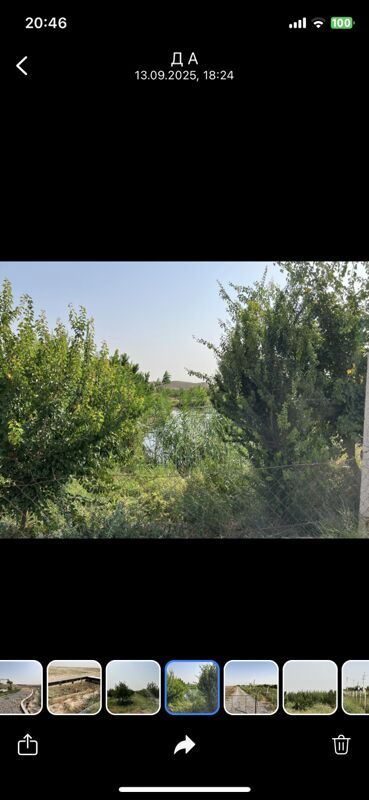 Тайын бизнес мивели баглар - Aşgabat - img 6