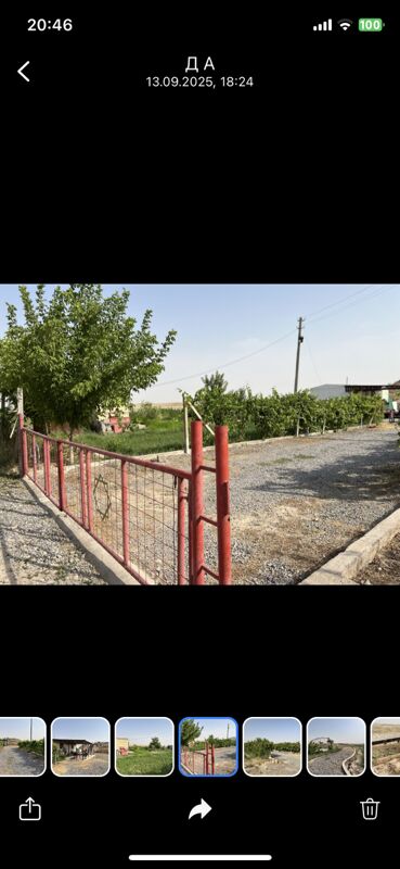Тайын бизнес мивели баглар - Aşgabat - img 3
