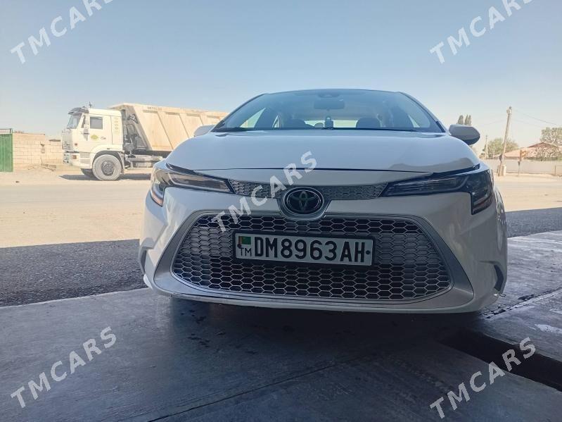 Toyota Corolla 2019 - 230 000 TMT - Кака - img 5