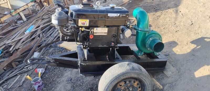 Dizilni nasos - Mary - img 2