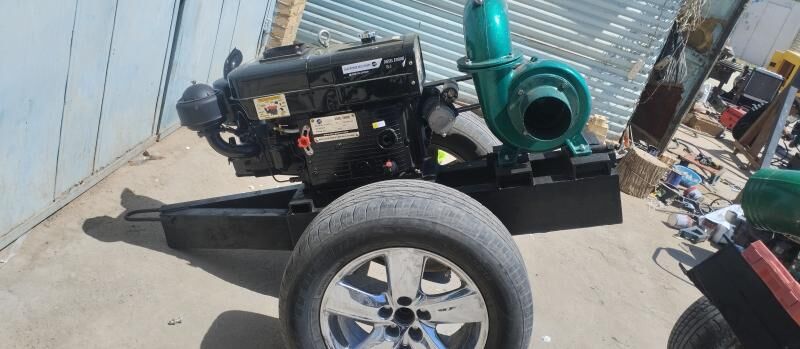 Dizilni nasos - Mary - img 4