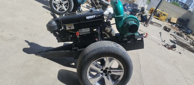 Dizilni nasos - Mary - img 3