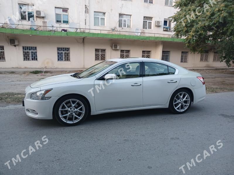 Nissan Maxima 2010 - 125 000 TMT - Aşgabat - img 4