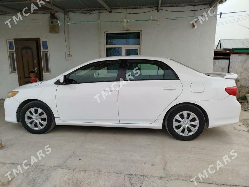 Toyota Corolla 2009 - 123 000 TMT - Ak bugdaý etraby - img 5