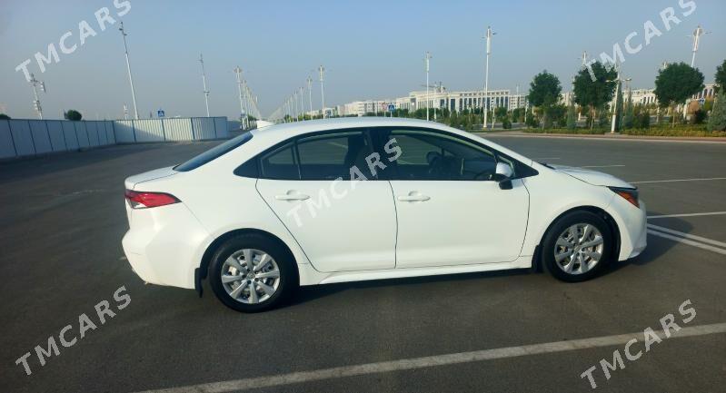 Toyota Corolla 2020 - 230 000 TMT - Gökdepe - img 5