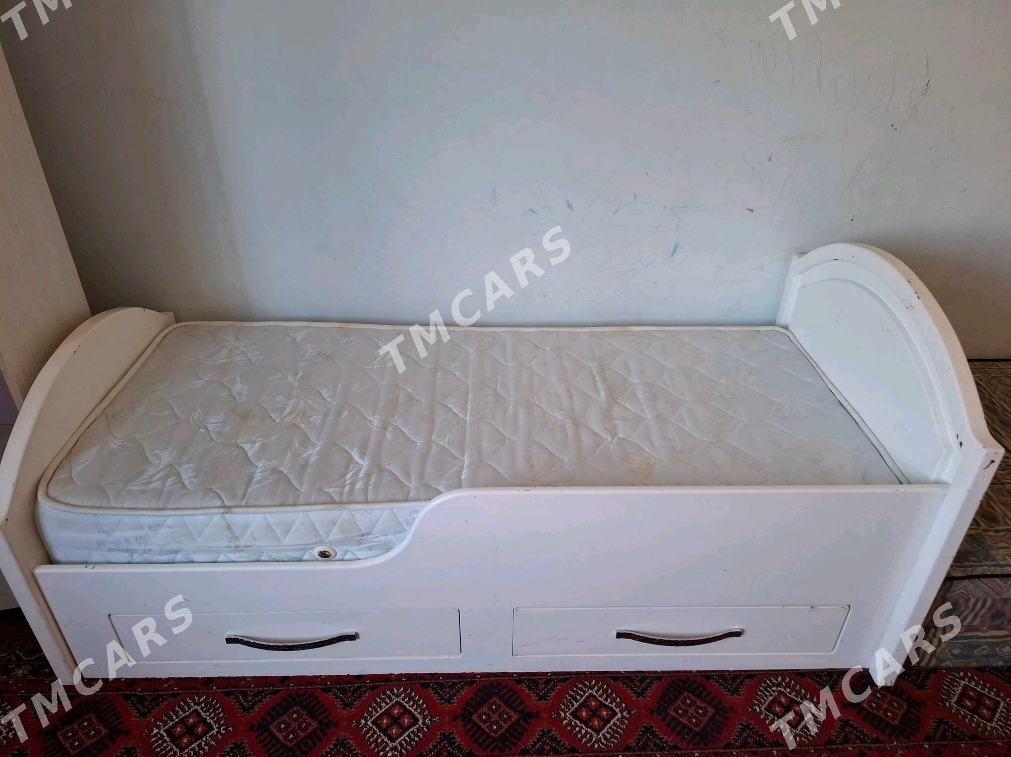 Çaga krawat - Gökdepe - img 2
