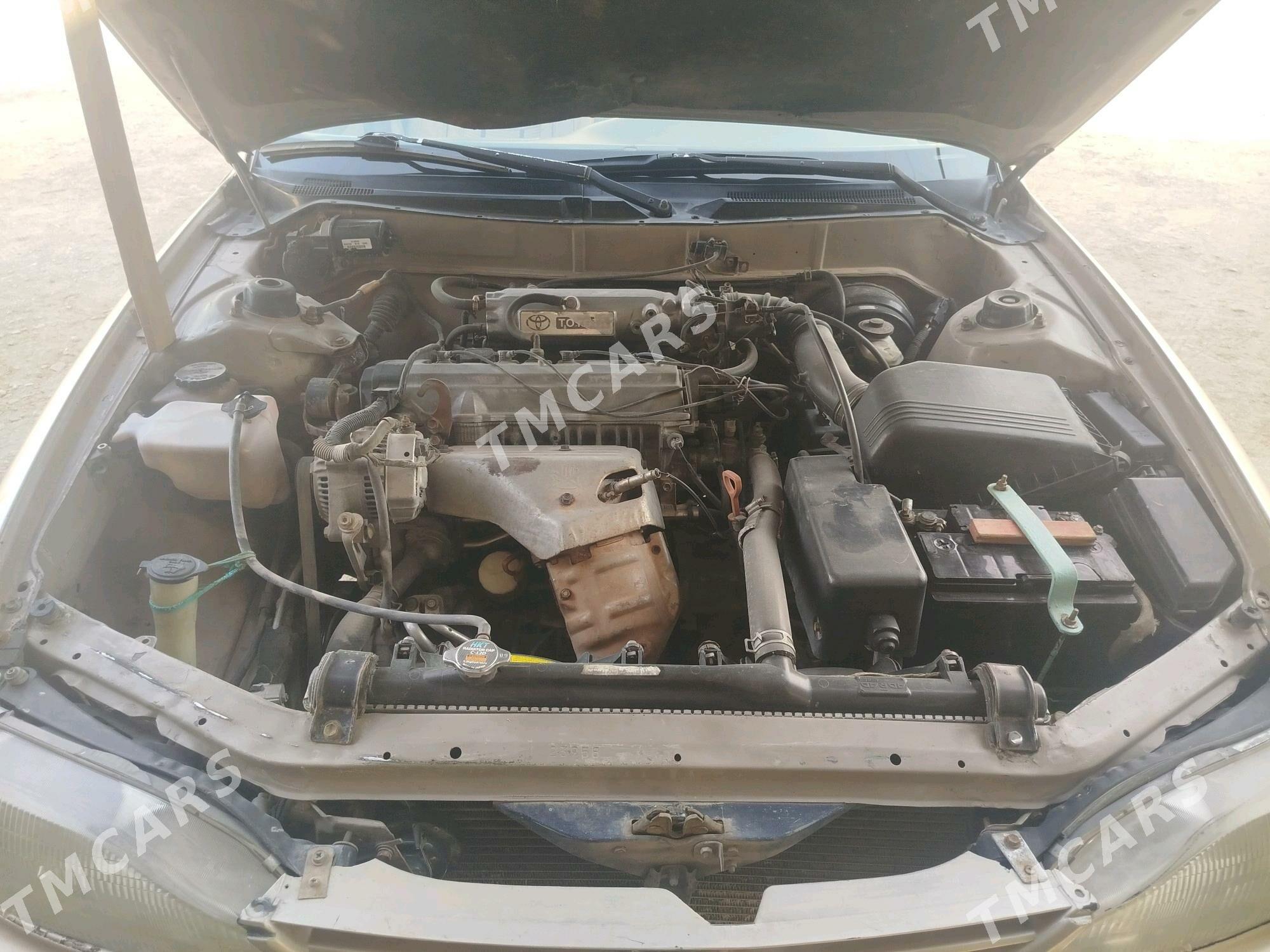 Toyota Camry 1995 - 75 000 TMT - Magdanly - img 4