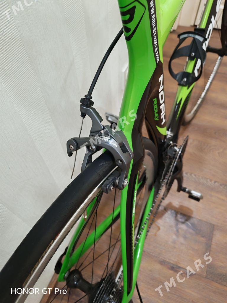 CARBON TIGIR RIDLEY - Ашхабад - img 2