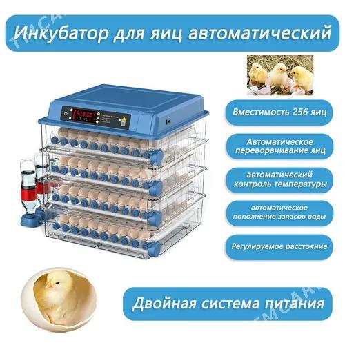 INKUBATOR ZAKAZ - Гороглы (Тагта) - img 6