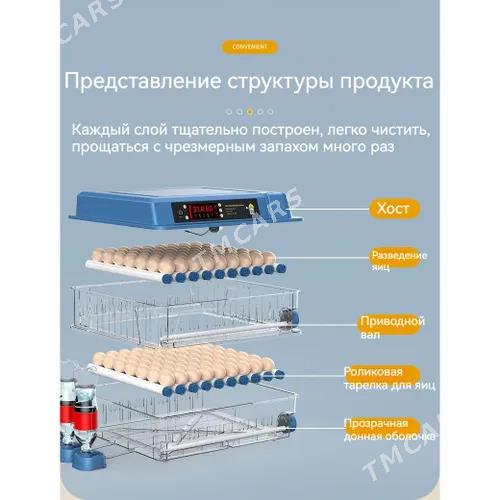 INKUBATOR ZAKAZ - Гороглы (Тагта) - img 2
