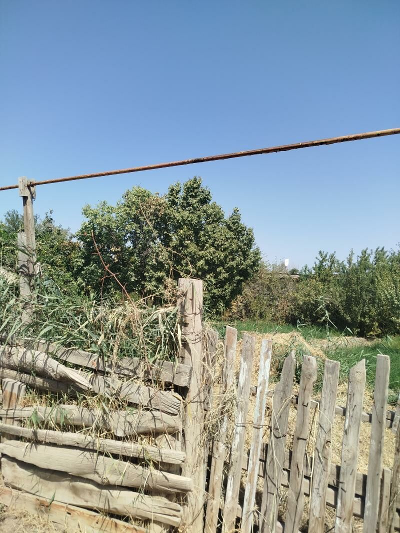Продаю дачу 15 автопарк - Туркменабат - img 3