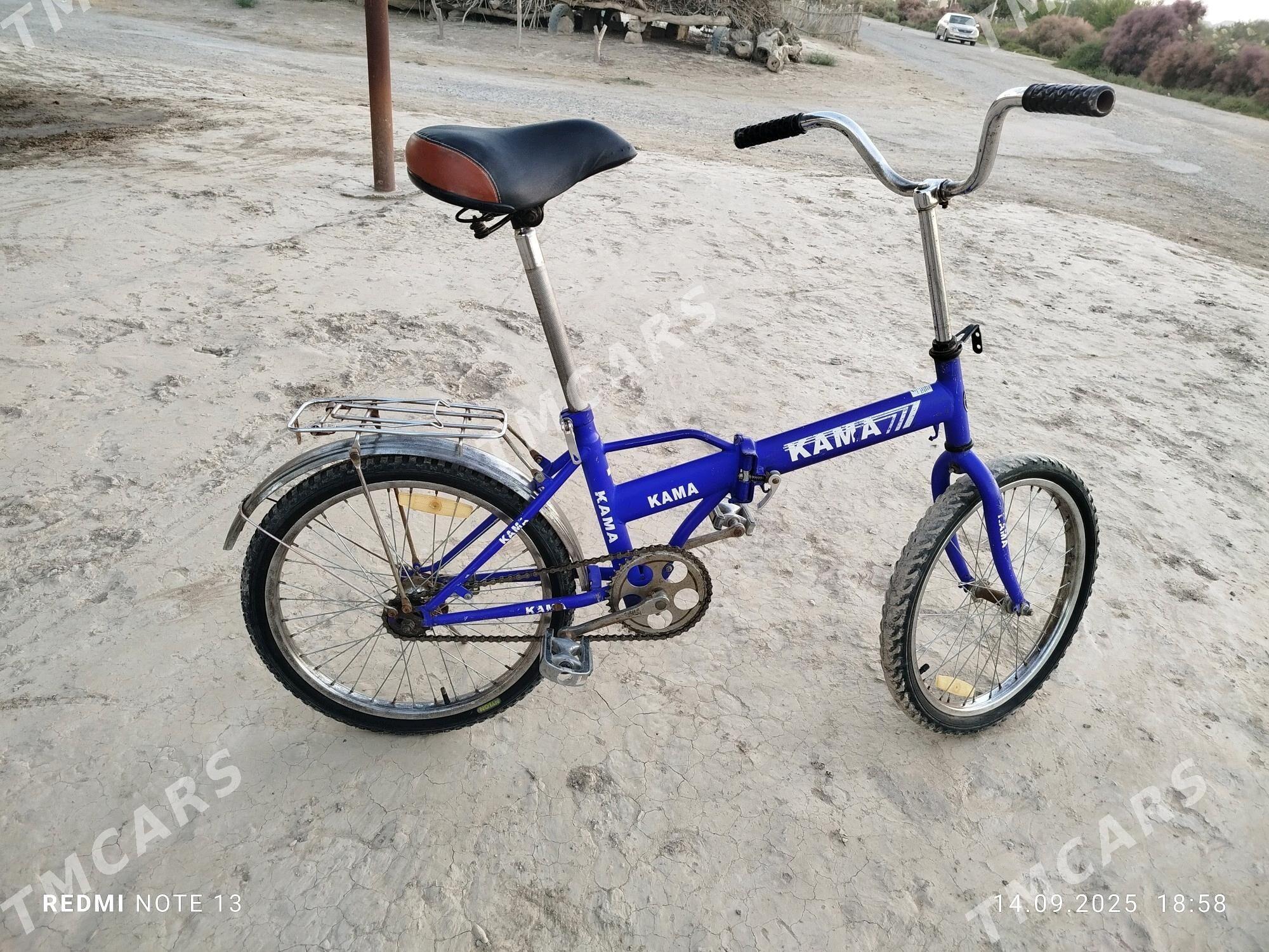 KAMA 20LİK - Sakarçäge - img 2