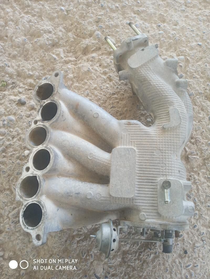 pawuk 400 TMT - Murgap - img 2
