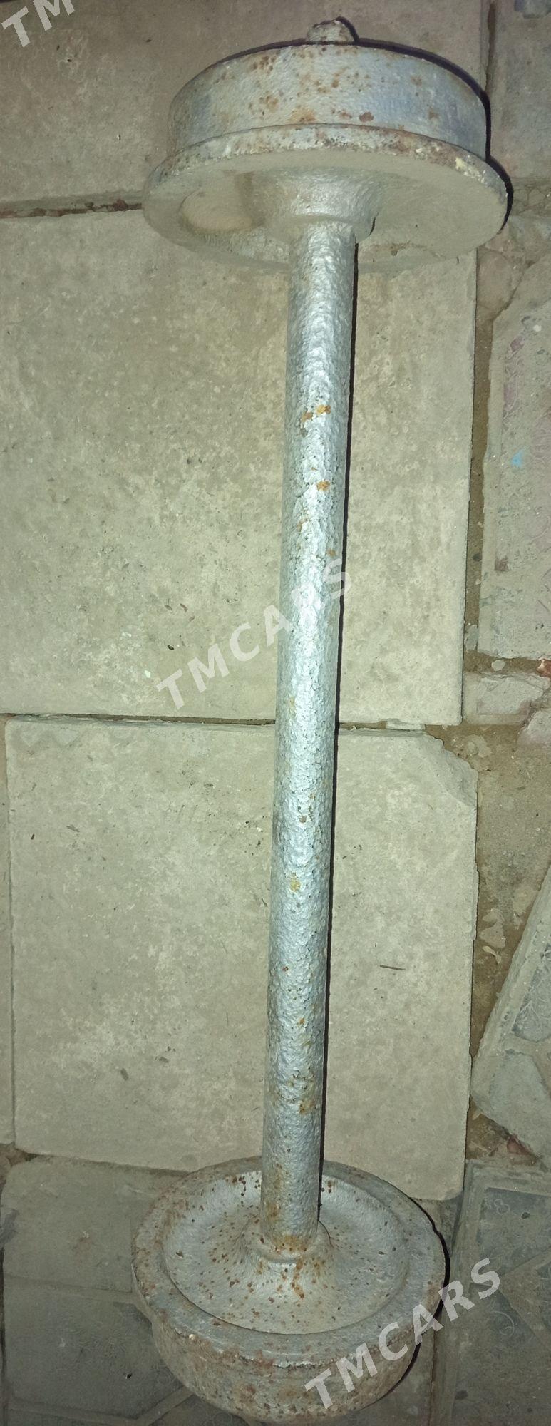 Stanga - Mary - img 2