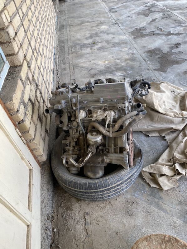 Mator 5 300 TMT - Ýaşlyk - img 1