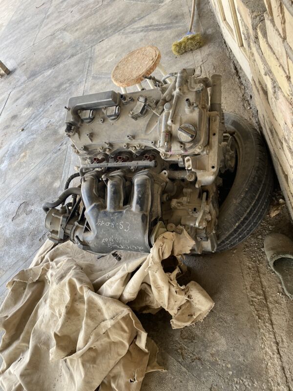 Mator 5 300 TMT - Ýaşlyk - img 2