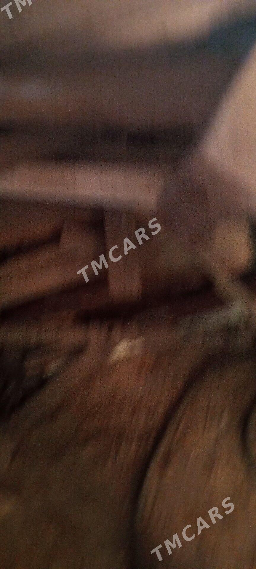 corny patalok tagtalar - Türkmenabat - img 2