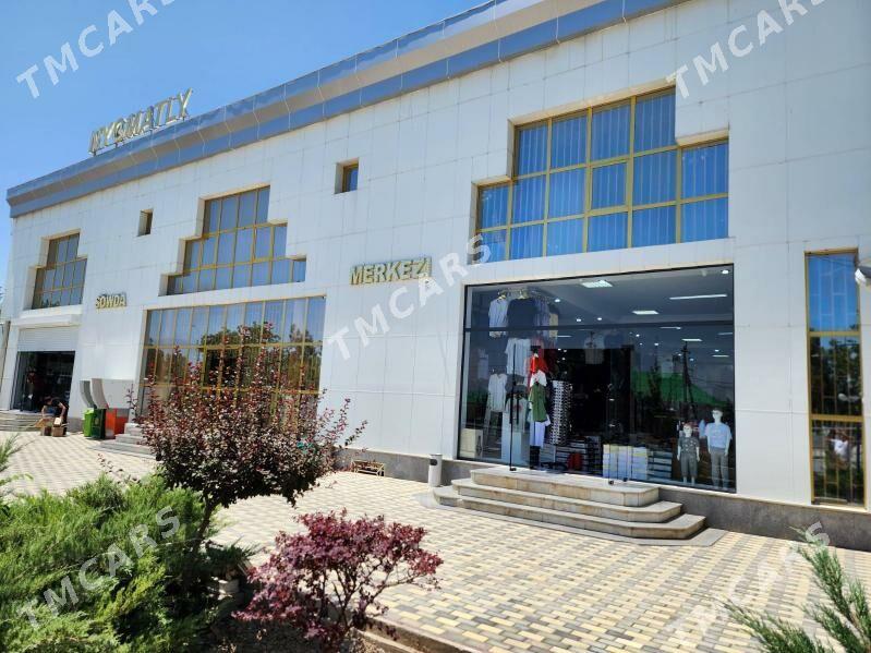 Işgār gerek - Büzmeýin - img 2