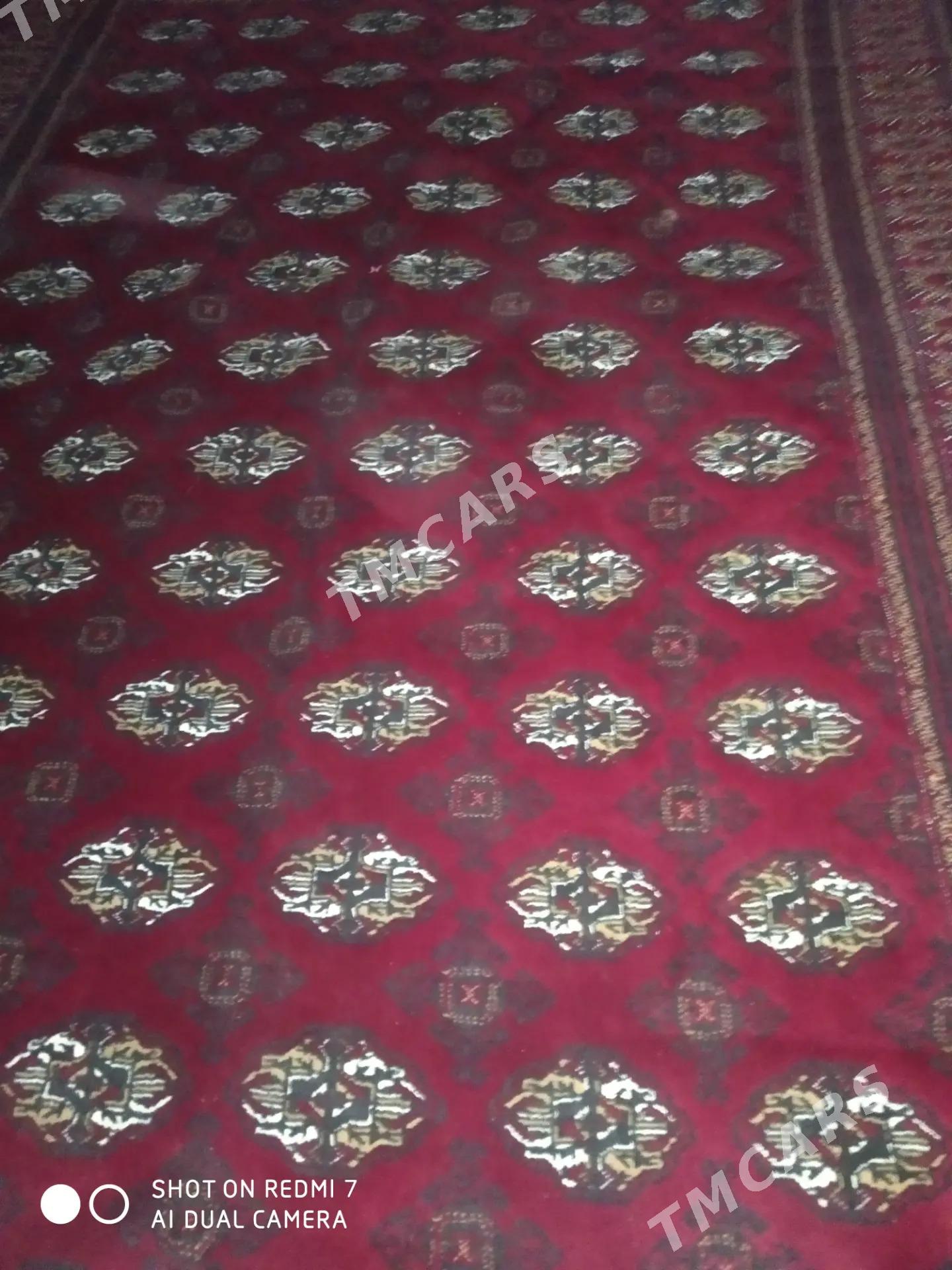 Haly - Aşgabat - img 2