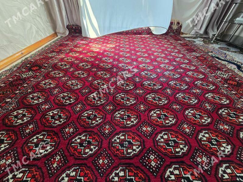 Turkmen Haly - Türkmenbaşy - img 3
