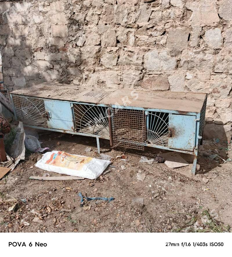 towshan ketek - Türkmenbaşy - img 2