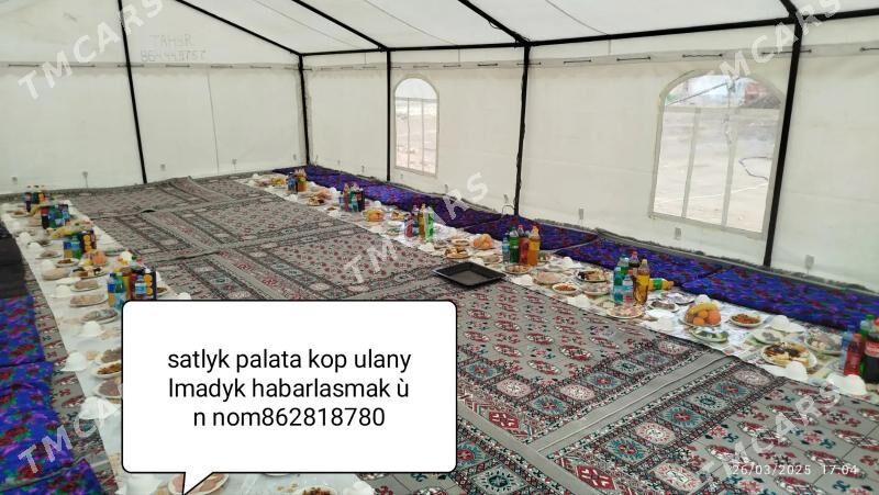 toy sadaka ùn palata - Каракумский этрап - img 5
