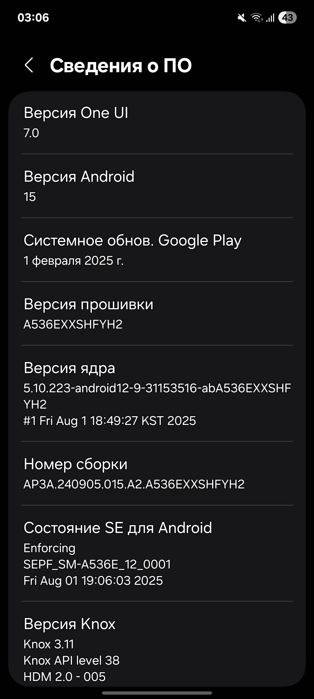 Samsung A53 5G - Gurbansoltan Eje - img 5