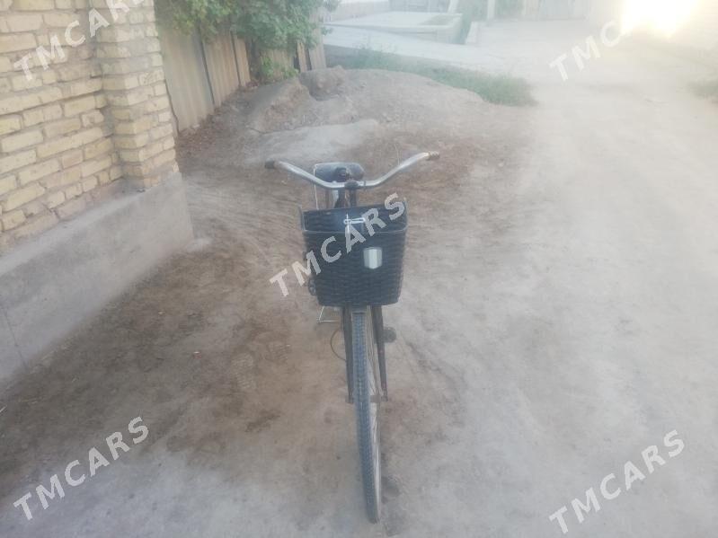 Ural welik satlyk ya Abmen - Farap - img 2