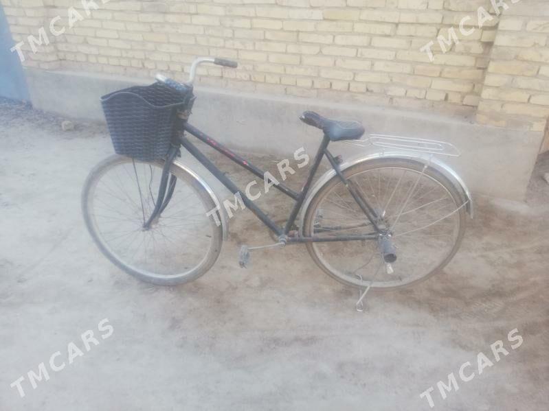 Ural welik satlyk ya Abmen - Farap - img 3