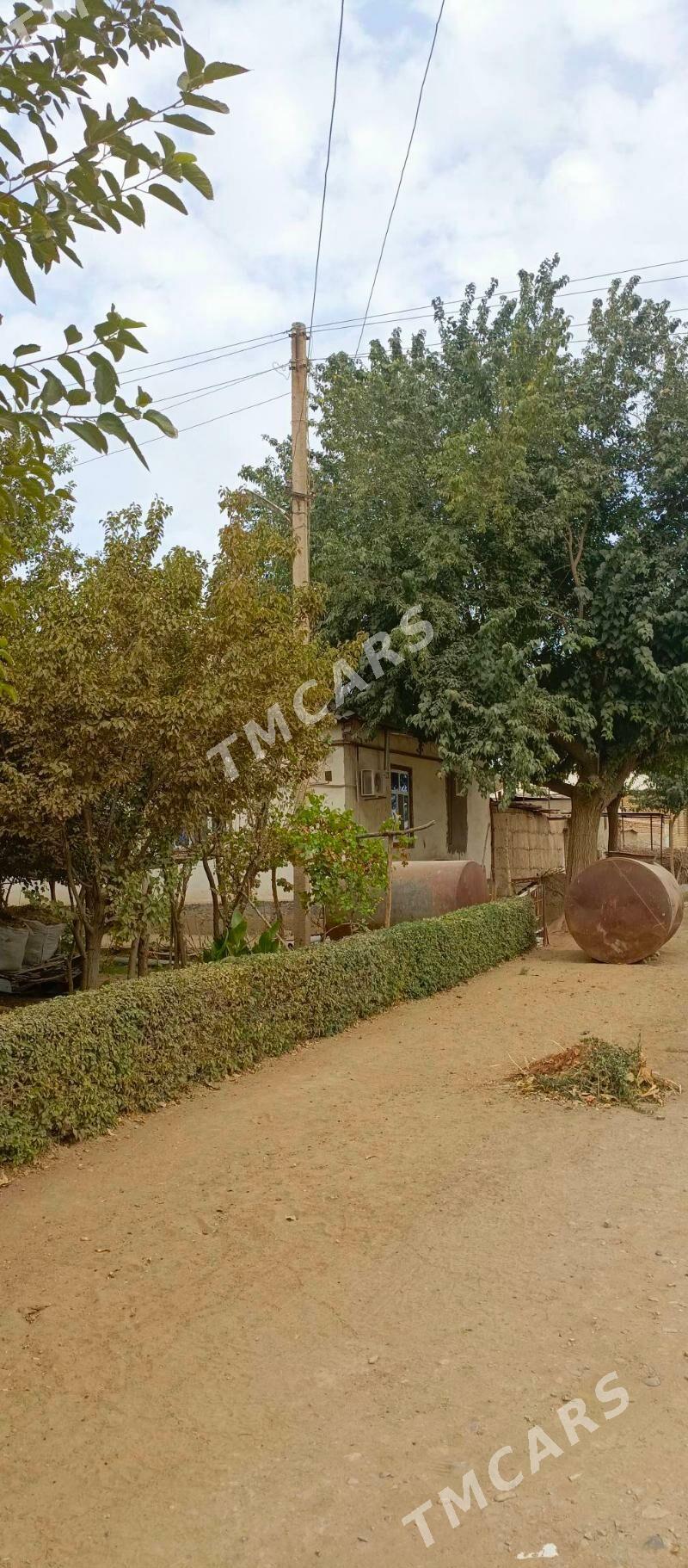 TEJEN Satlyk plan jaÿ - Теджен - img 5