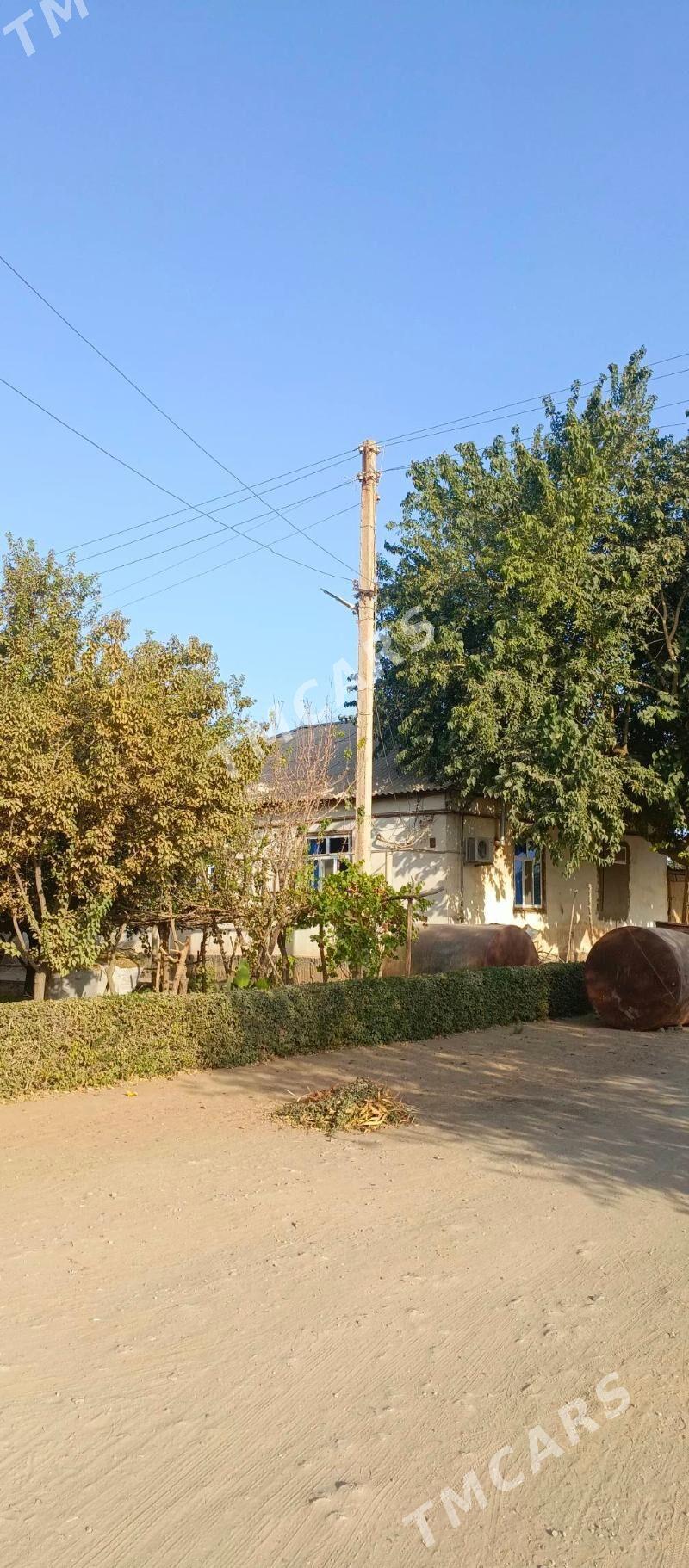 TEJEN Satlyk plan jaÿ - Теджен - img 6