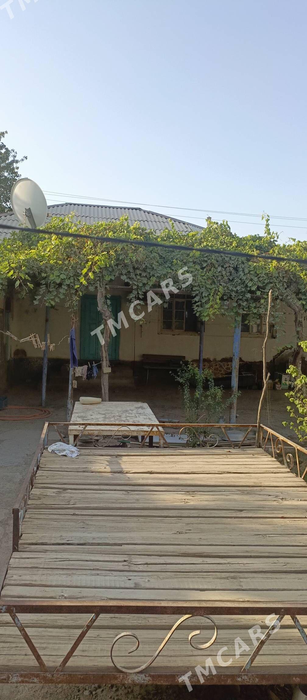 TEJEN Satlyk plan jaÿ - Теджен - img 4