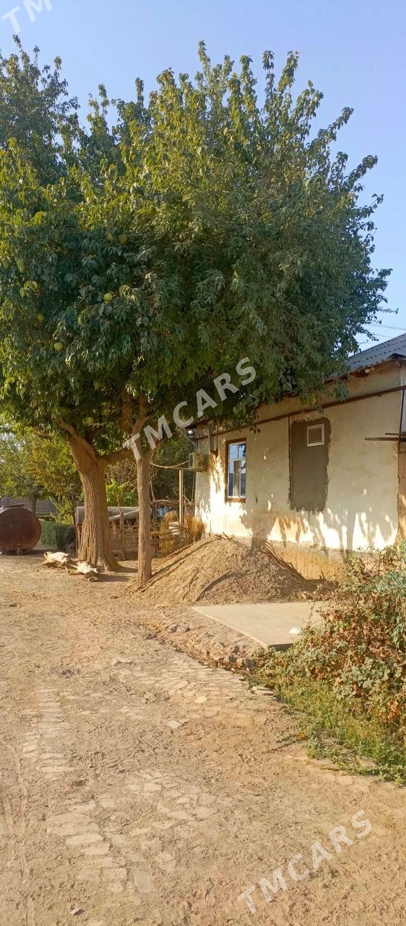 TEJEN Satlyk plan jaÿ - Теджен - img 8