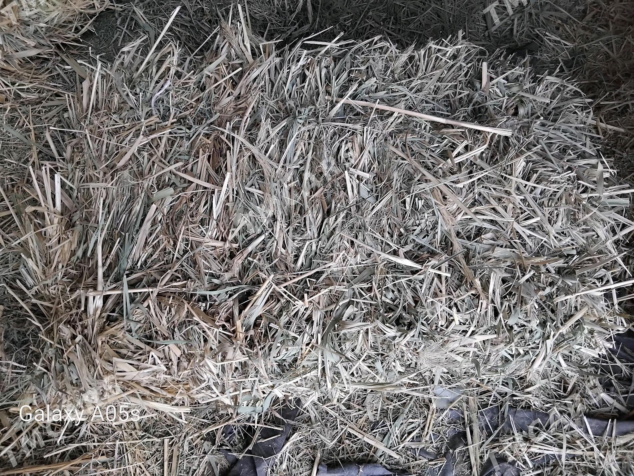 gamyṣ̌ - Ak bugdaý etraby - img 3