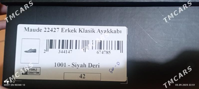 Erkek köwüş - Howdan "B" - img 6