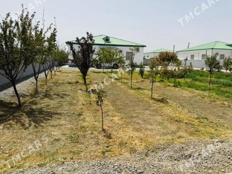 gokdepe şorgala plan - Гёкдепе - img 10
