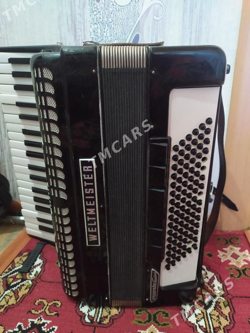 akkardeon - Türkmenabat - img 2