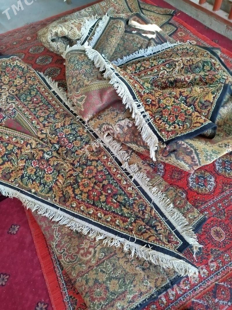 бельгийски халылар - Daşoguz - img 5