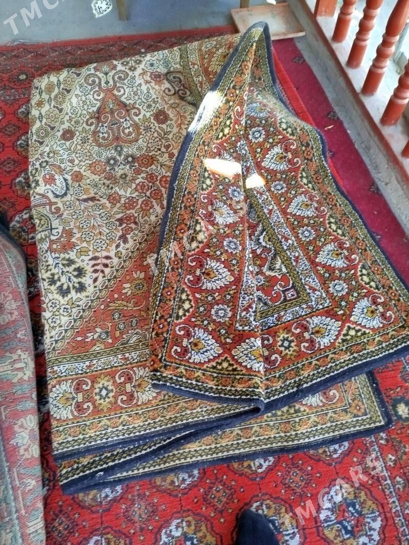 российский халы галын - Daşoguz - img 3