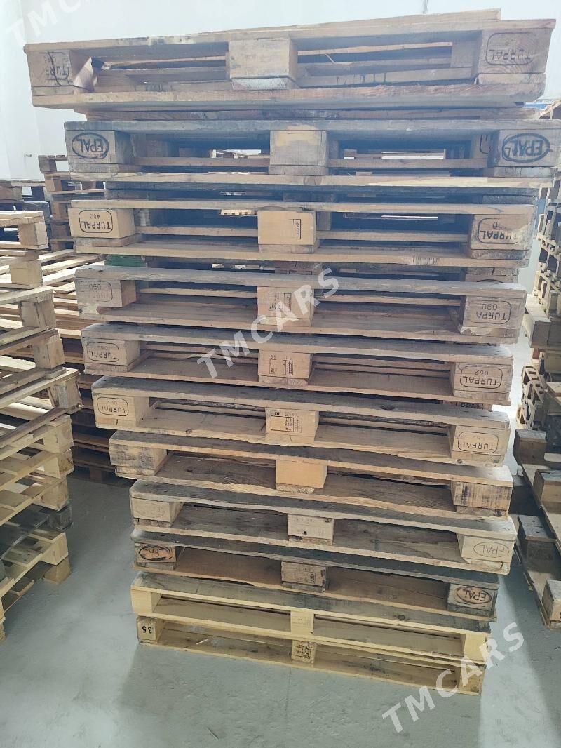 Paddon Pallet - Türkmenbaşy - img 2