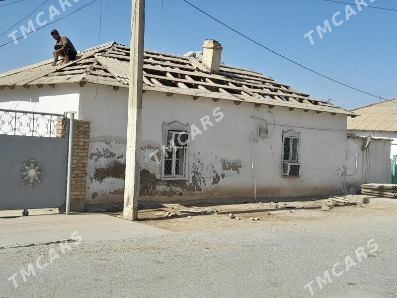 agaç - Balkanabat - img 2