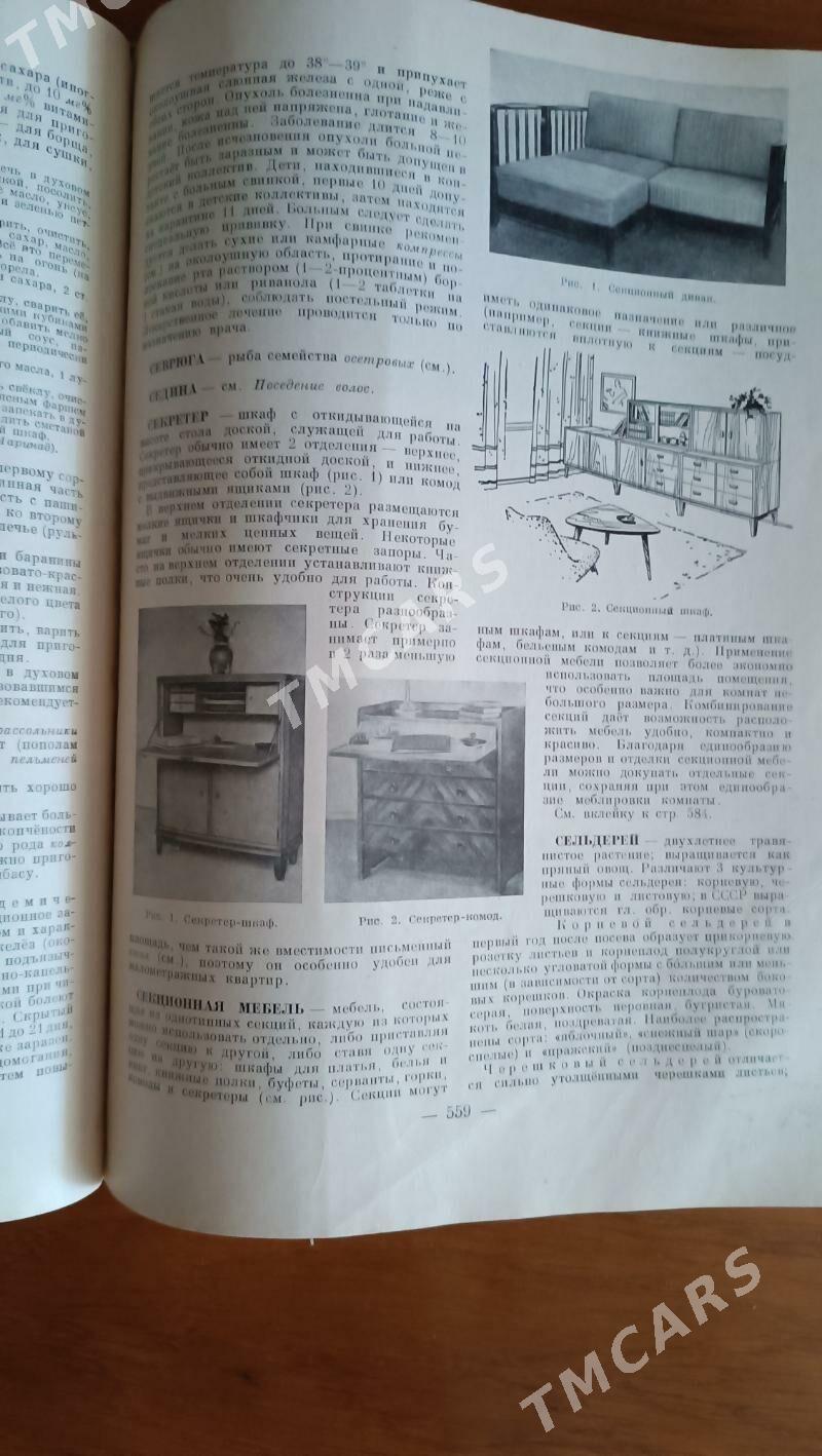 энциклопедия домашнего хозяйст - Türkmenabat - img 3
