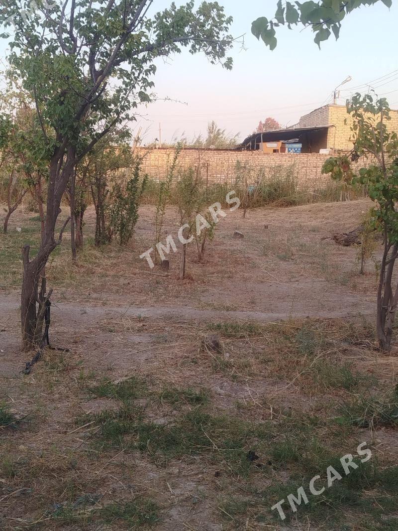 Продаю дачу 16 соток - Туркменабат - img 2