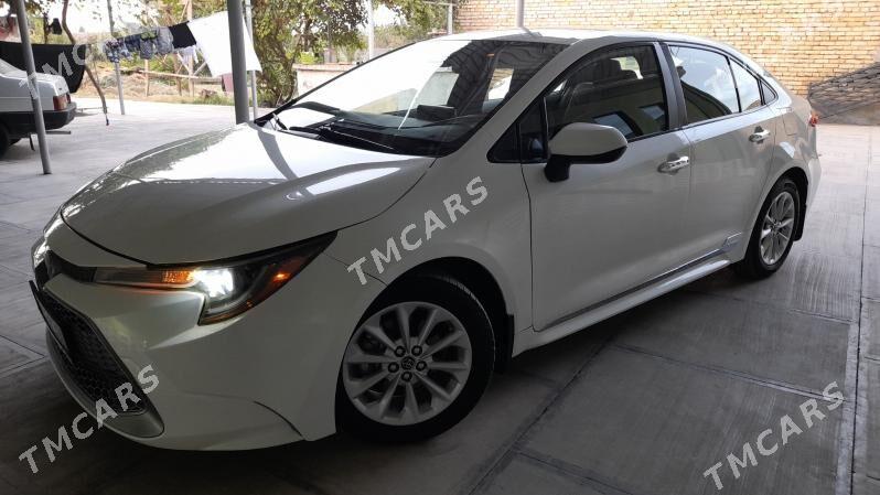 Toyota Corolla 2021 - 265 000 TMT - Кака - img 2
